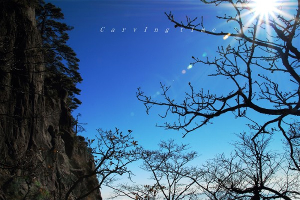 旅游游记：黄山的美，真是让人醉了 